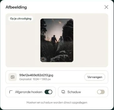 Het venster Afbeelding met een gekozen foto en de knop Afbeelding plaatsen