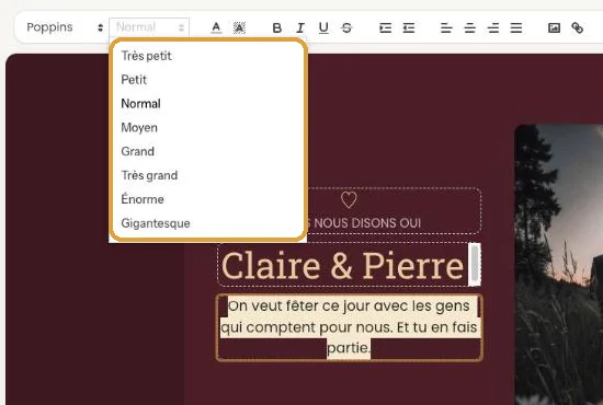 Le menu Taille ouvert, avec les tailles de Très petit à Gigantesque
