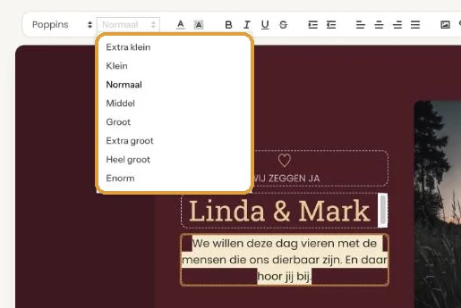 Het uitklapmenu Lettergrootte met de maten van Extra klein tot Enorm
