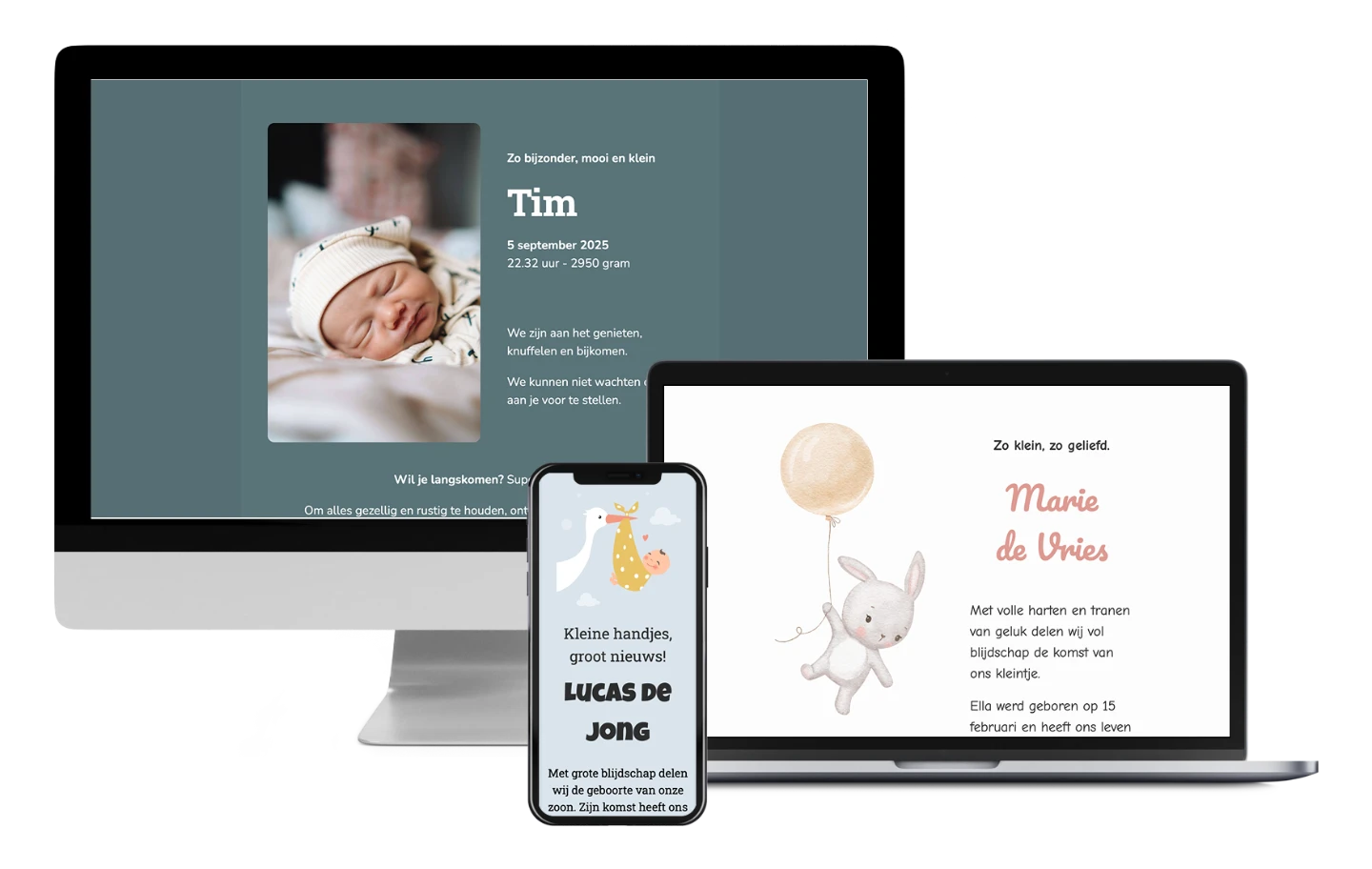 Voorbeeld van een online geboortekaartje