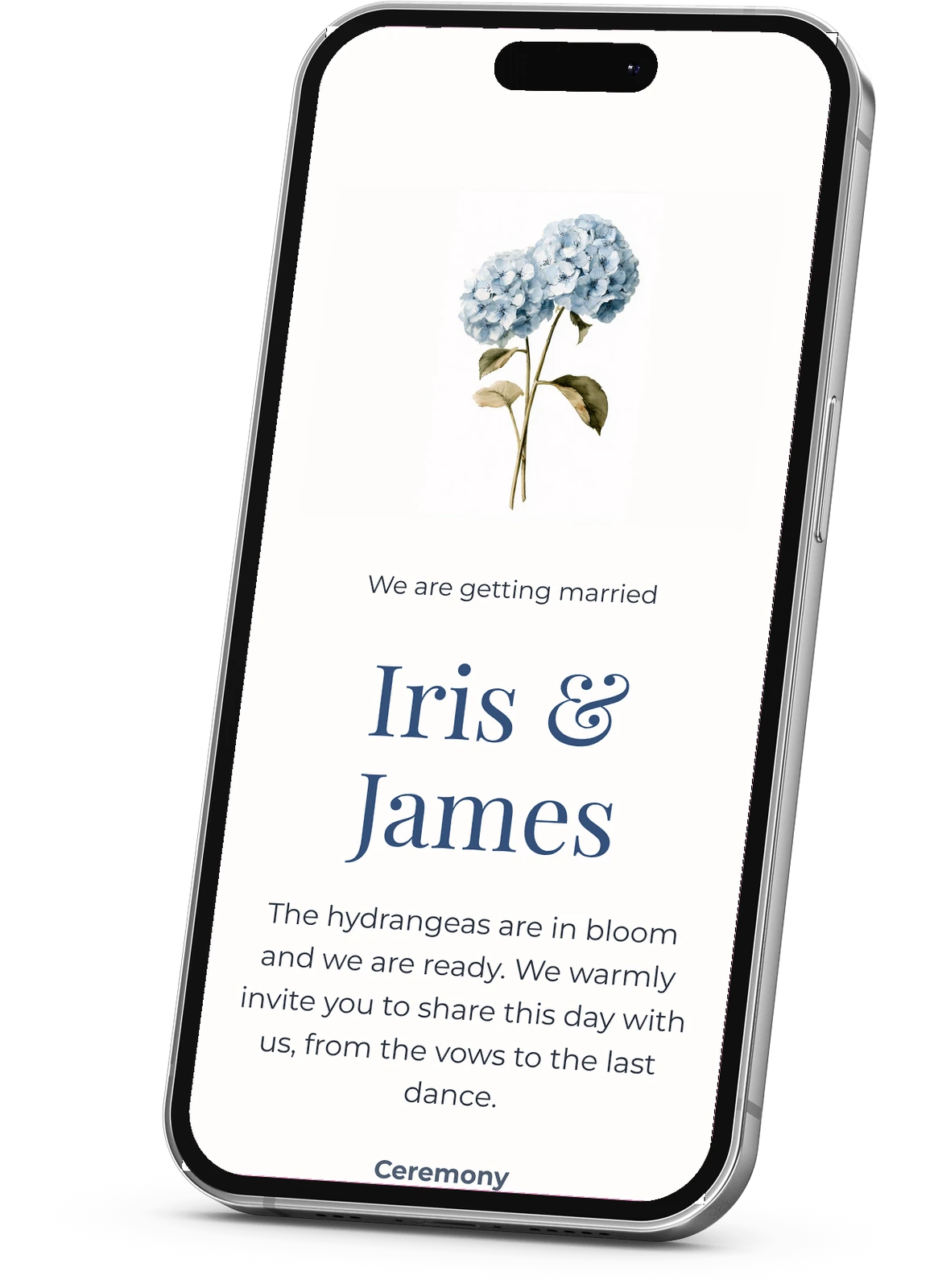 Wedding invitation