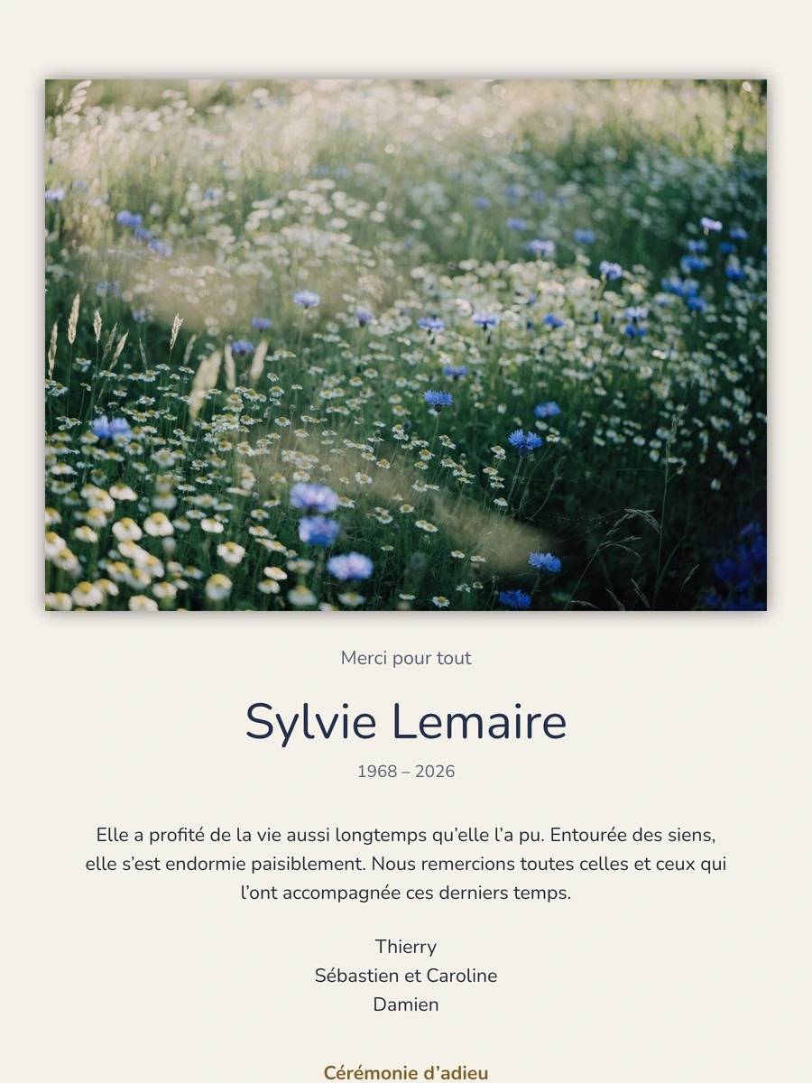 Faire-part bleuets et marguerites, fond bleu nuit