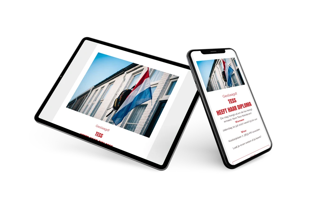 Rood-wit-blauw voor Tess’ diplomafeest &ndash; example 2