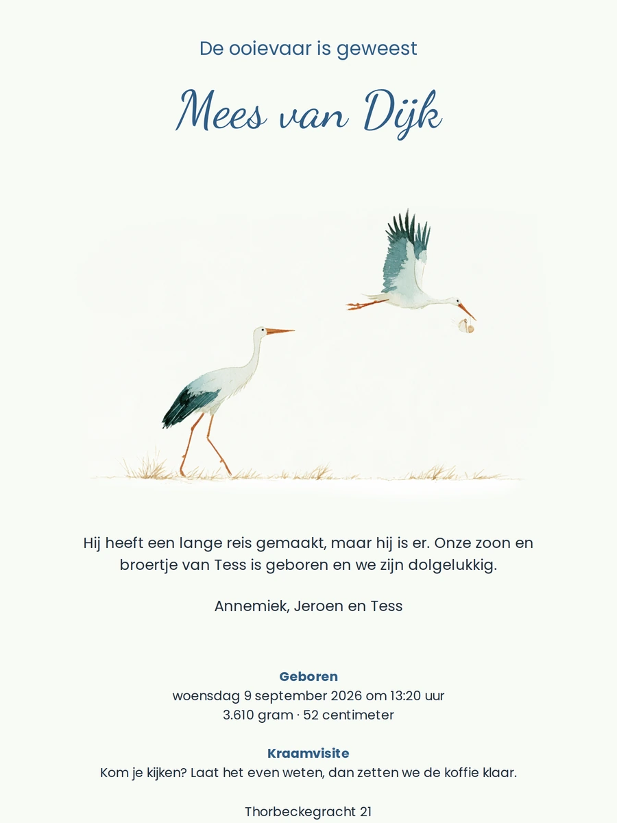 Aquarel geboortekaartje met twee ooievaars