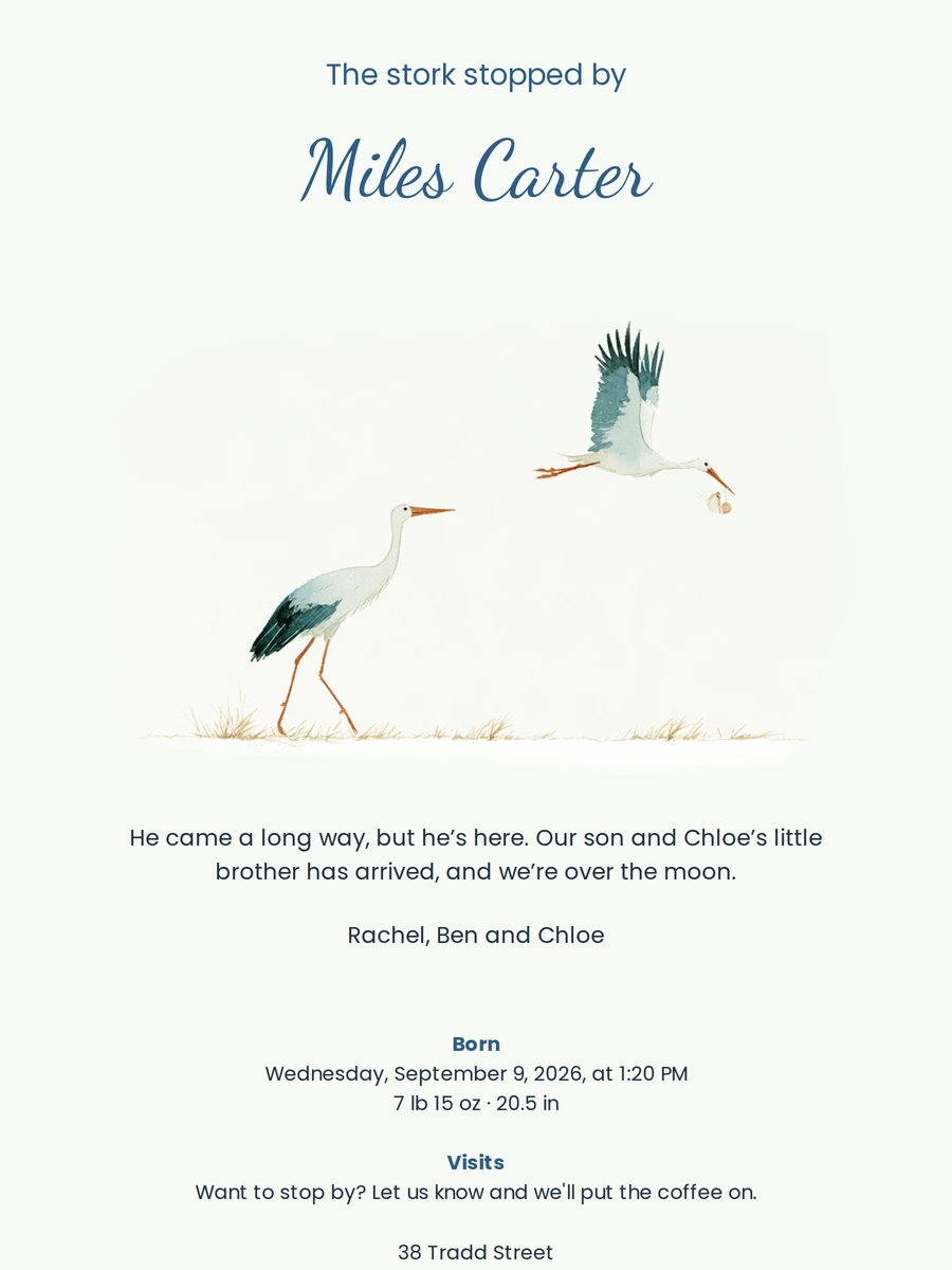 Pale green birth card with flying stork