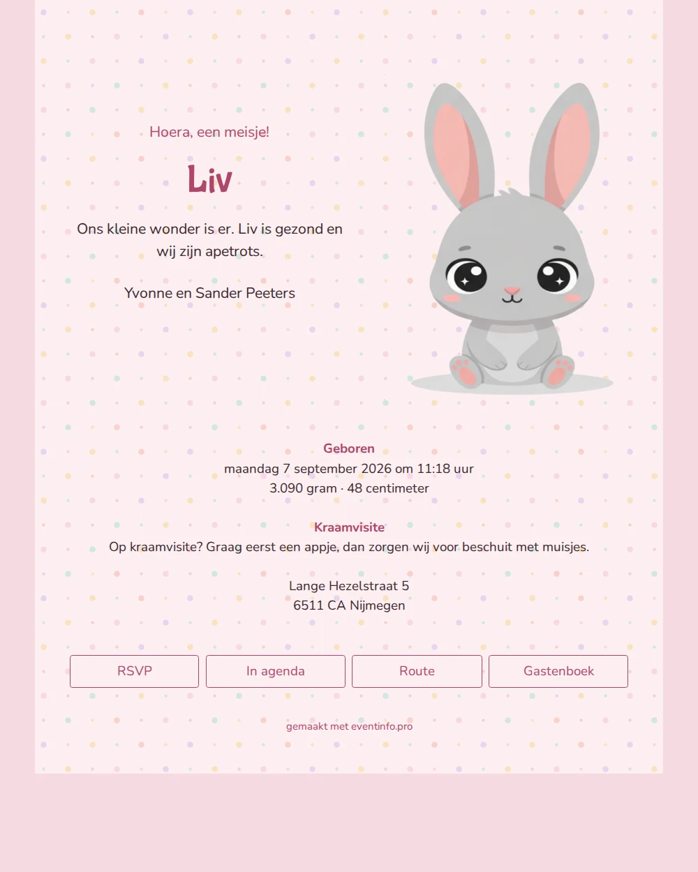 Vrolijk roze geboortekaartje voor een dochter &ndash; example 1