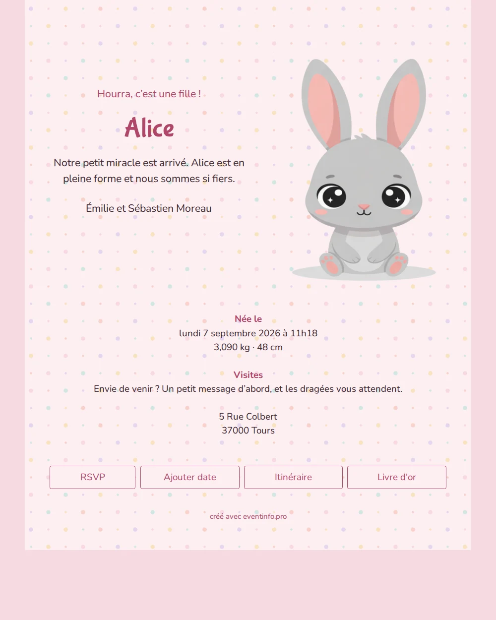 Joli faire-part de naissance pour une fille &ndash; example 1