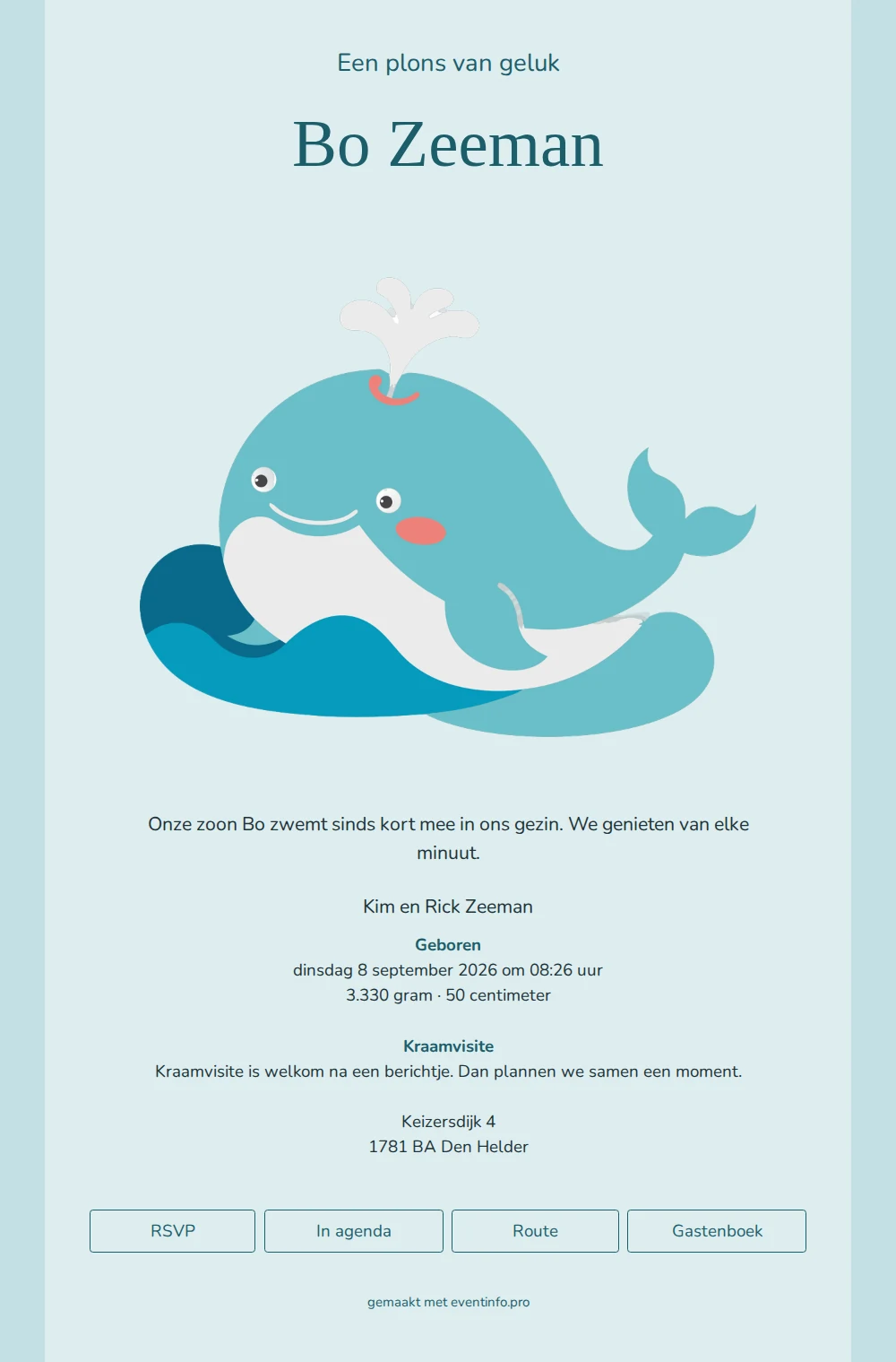 Rustig blauw geboortekaartje voor een zoon &ndash; example 1