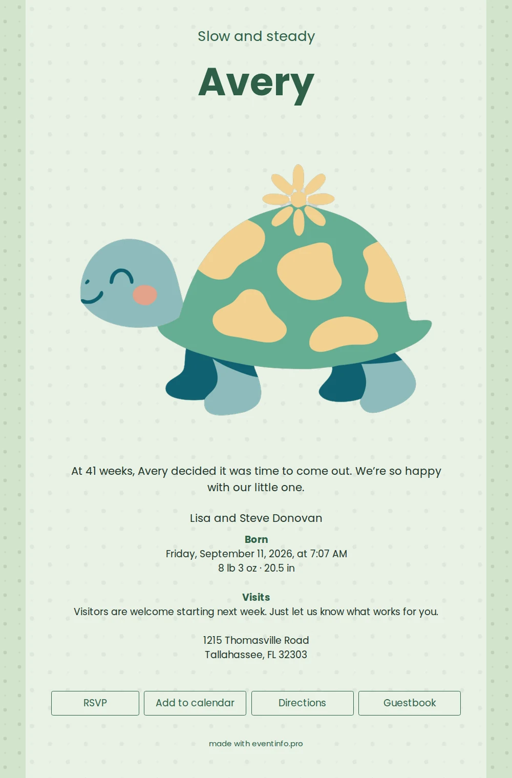 Playful birth announcement with a turtle &ndash; example 1
