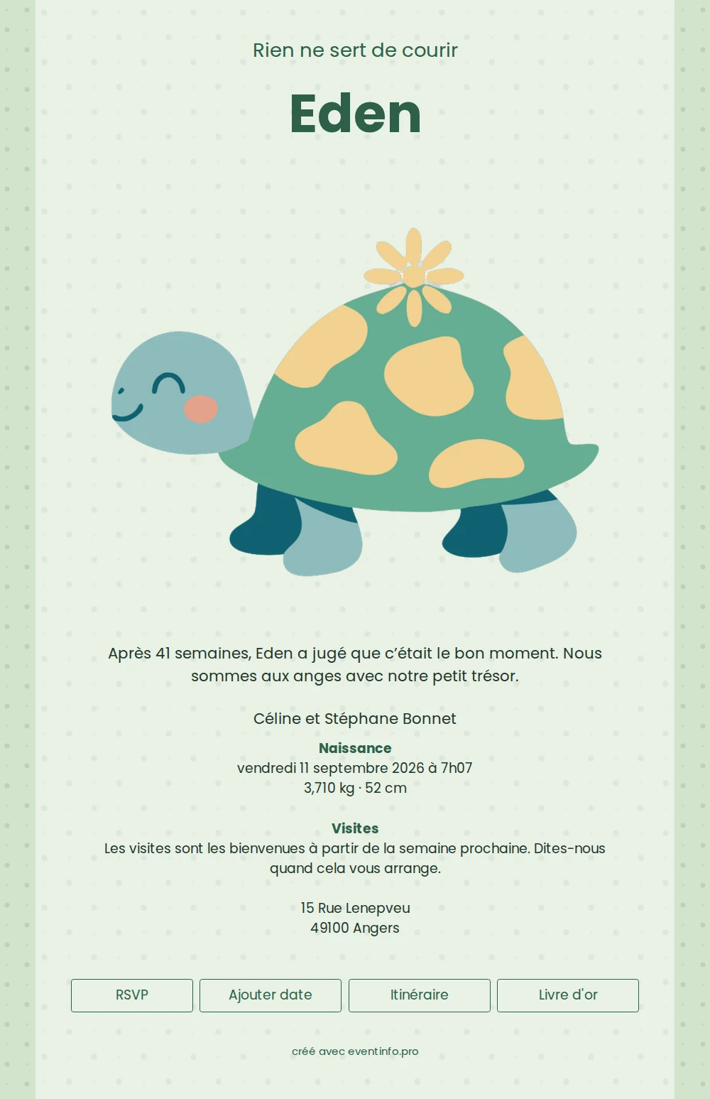 Faire-part de naissance ludique avec une tortue &ndash; example 1