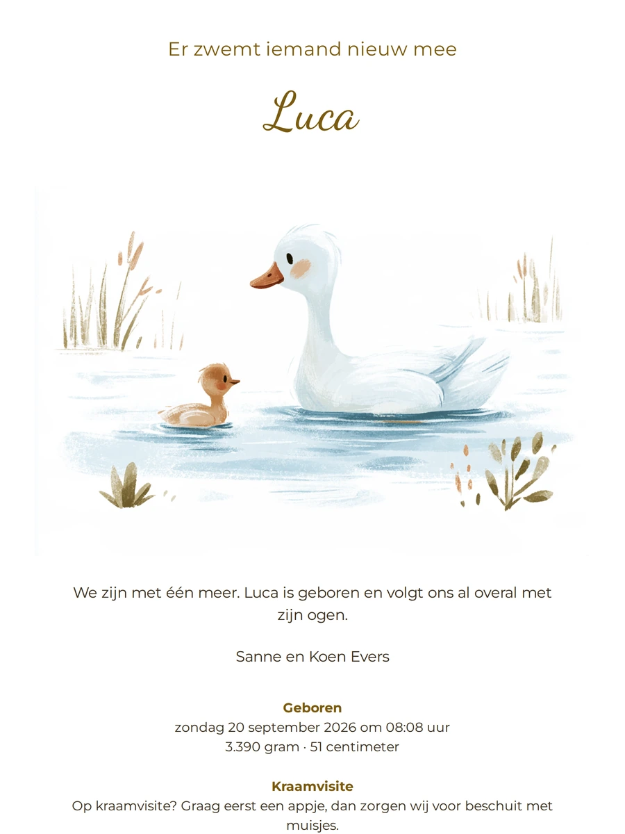 Geboortekaartje met watervogel op zandbeige