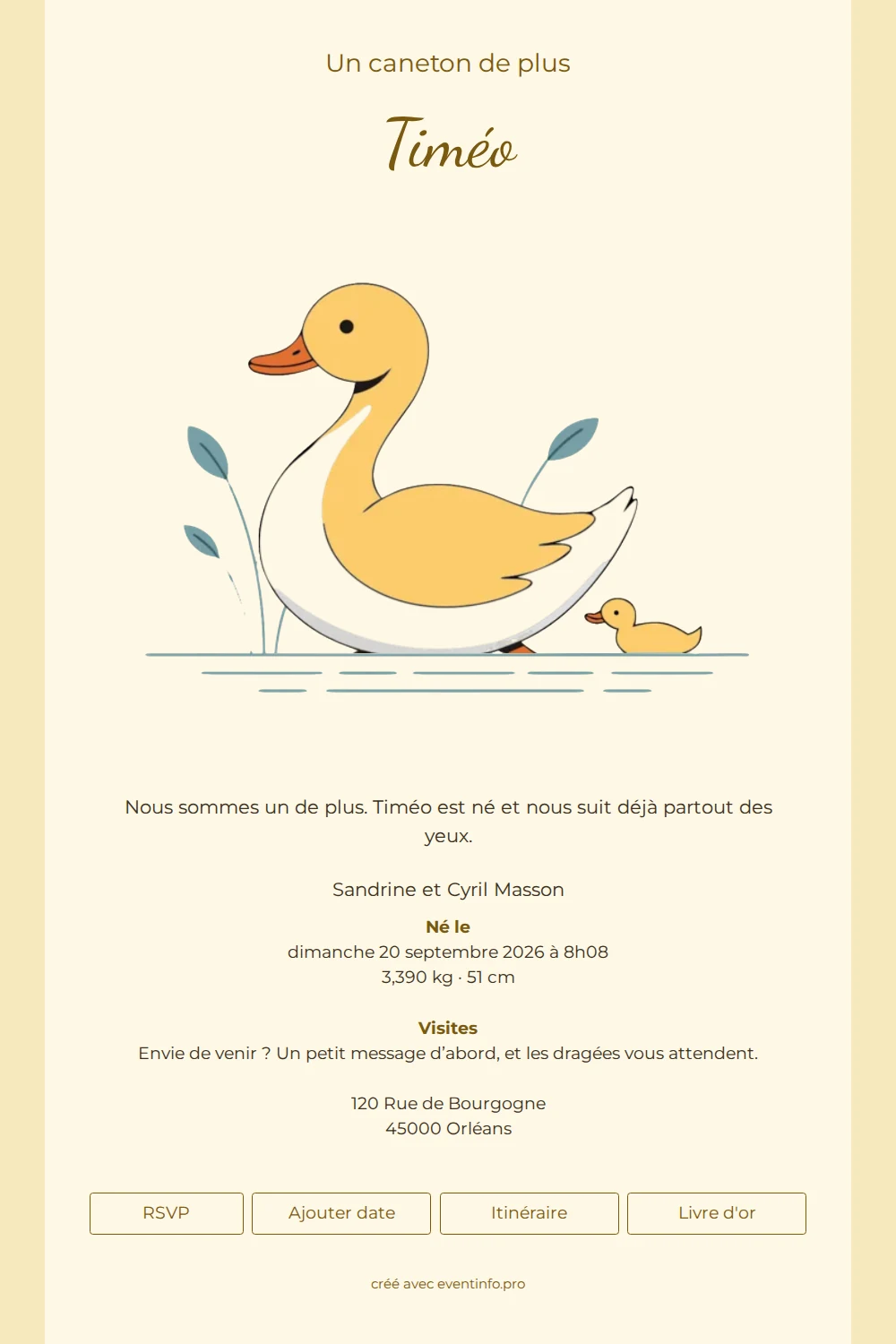 Faire-part de naissance doré avec oiseau aquatique &ndash; example 1