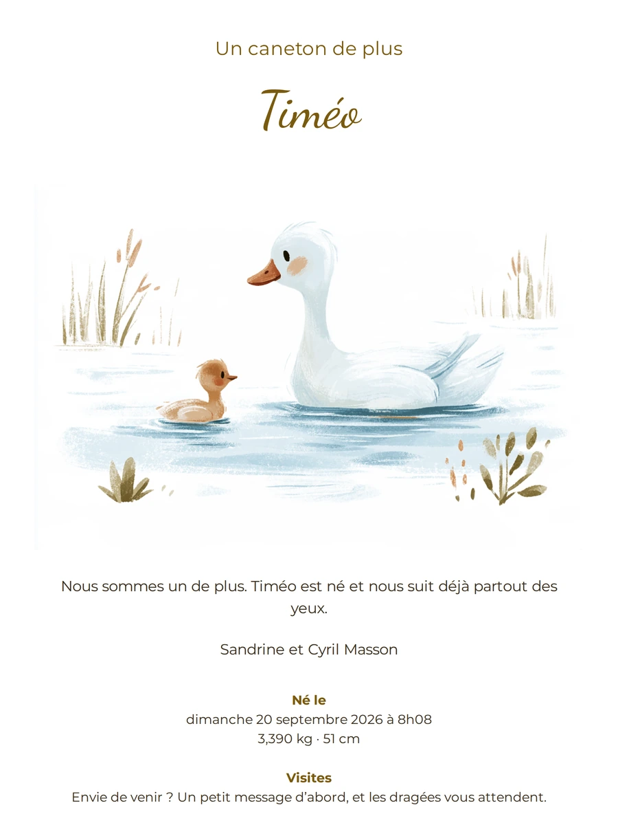 Faire-part de naissance aquarelle et oiseau blanc