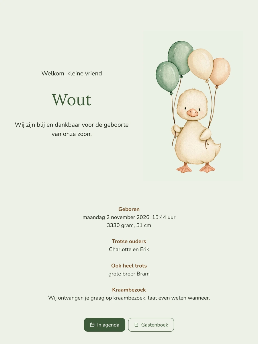 Eendje met ballonnen voor een pasgeboren zoon