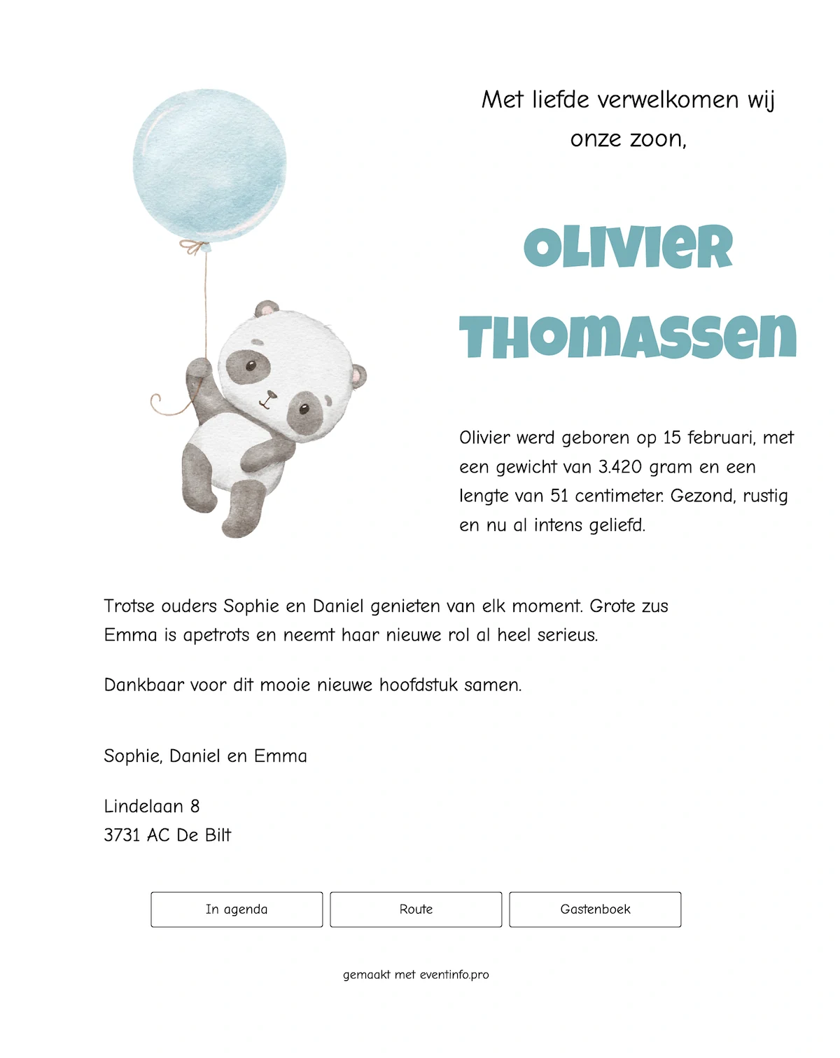 Geboortekaart met panda en ballon